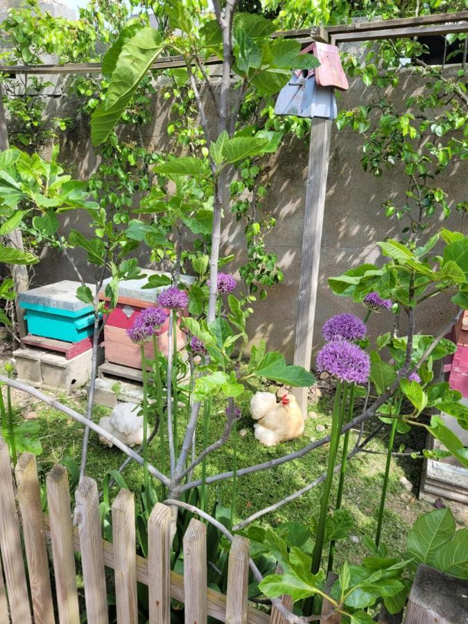 Tiny House Cosy 2 - Angers Green Lodge Екстериор снимка